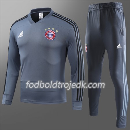 FC Bayern München Sweatshirt Dragt Grå 2018/19